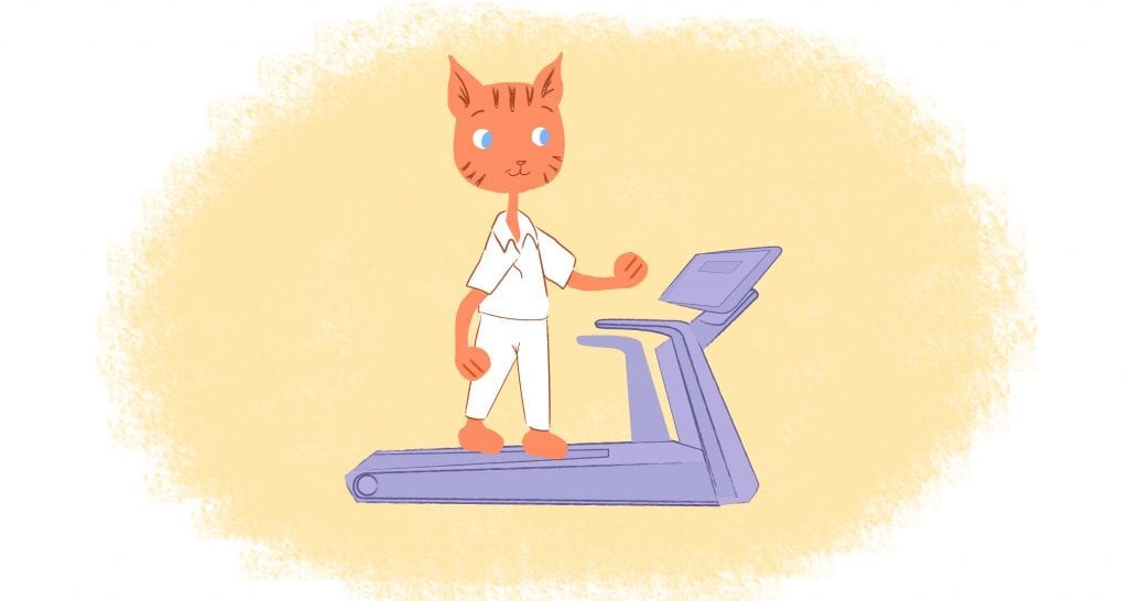 treadmill workout