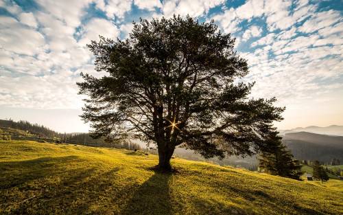 What You Can Do for Earth Day