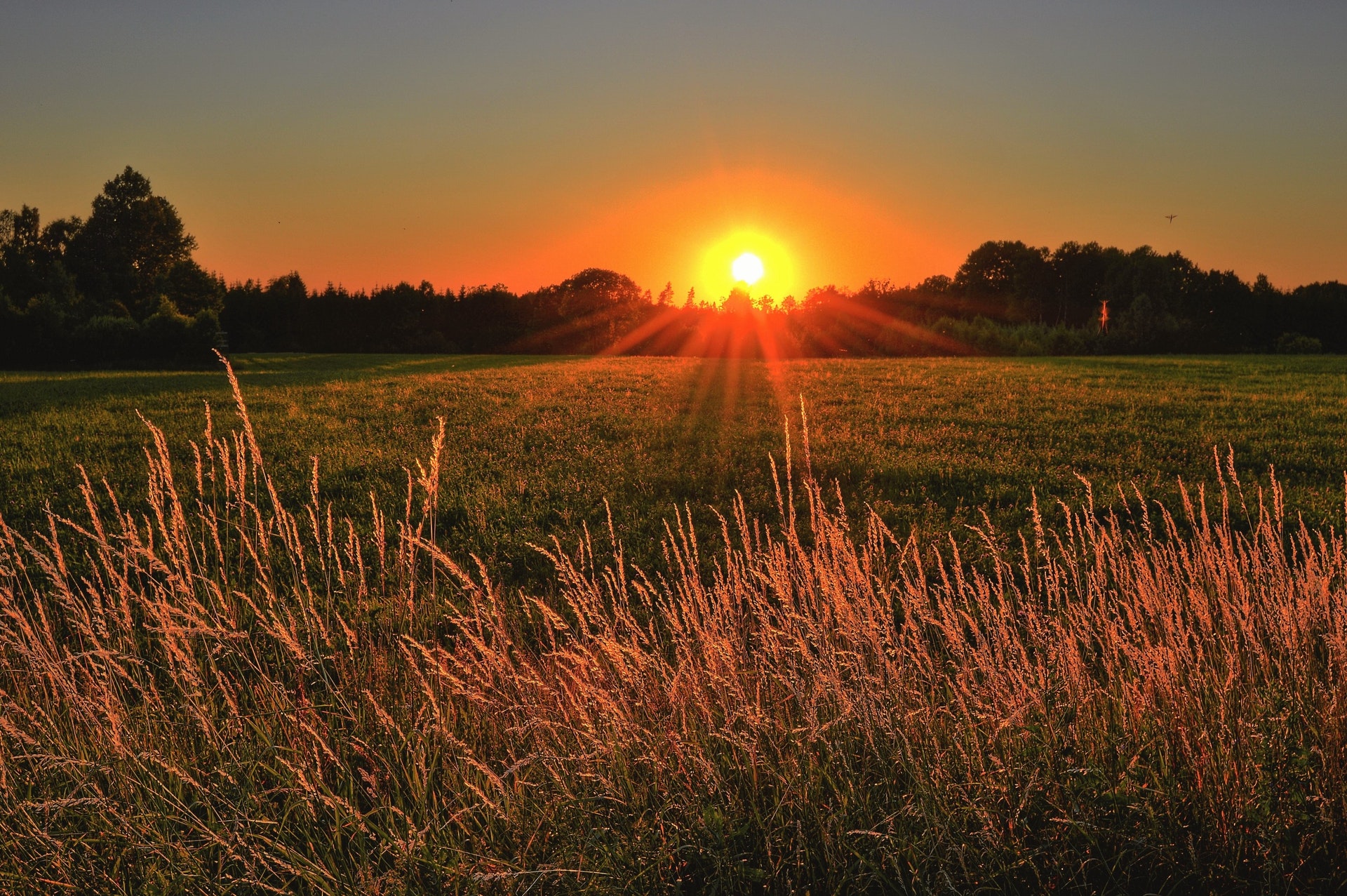 Rainy day blues? 8 ways to boost your mood when the sun is away