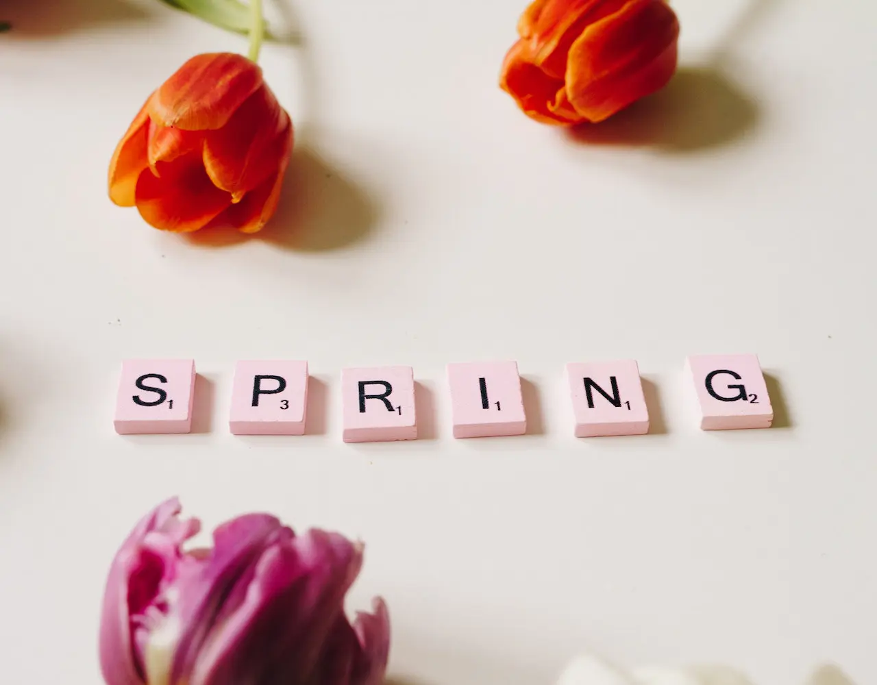 Called spring on sale