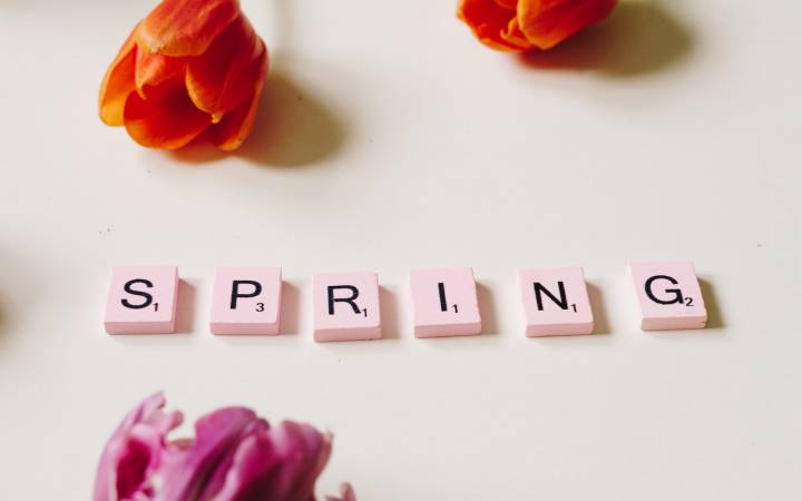 Fun Springtime Activities to Add to Your April Calendar