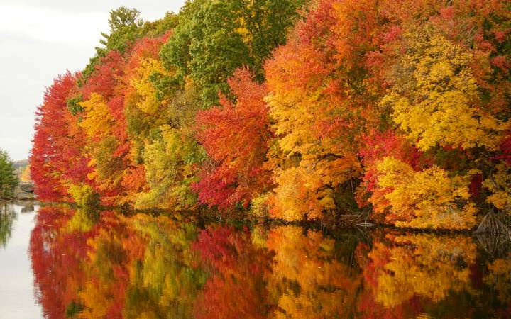 Changing Leaves, Changing Habits: How to Reset Your Productivity This Fall