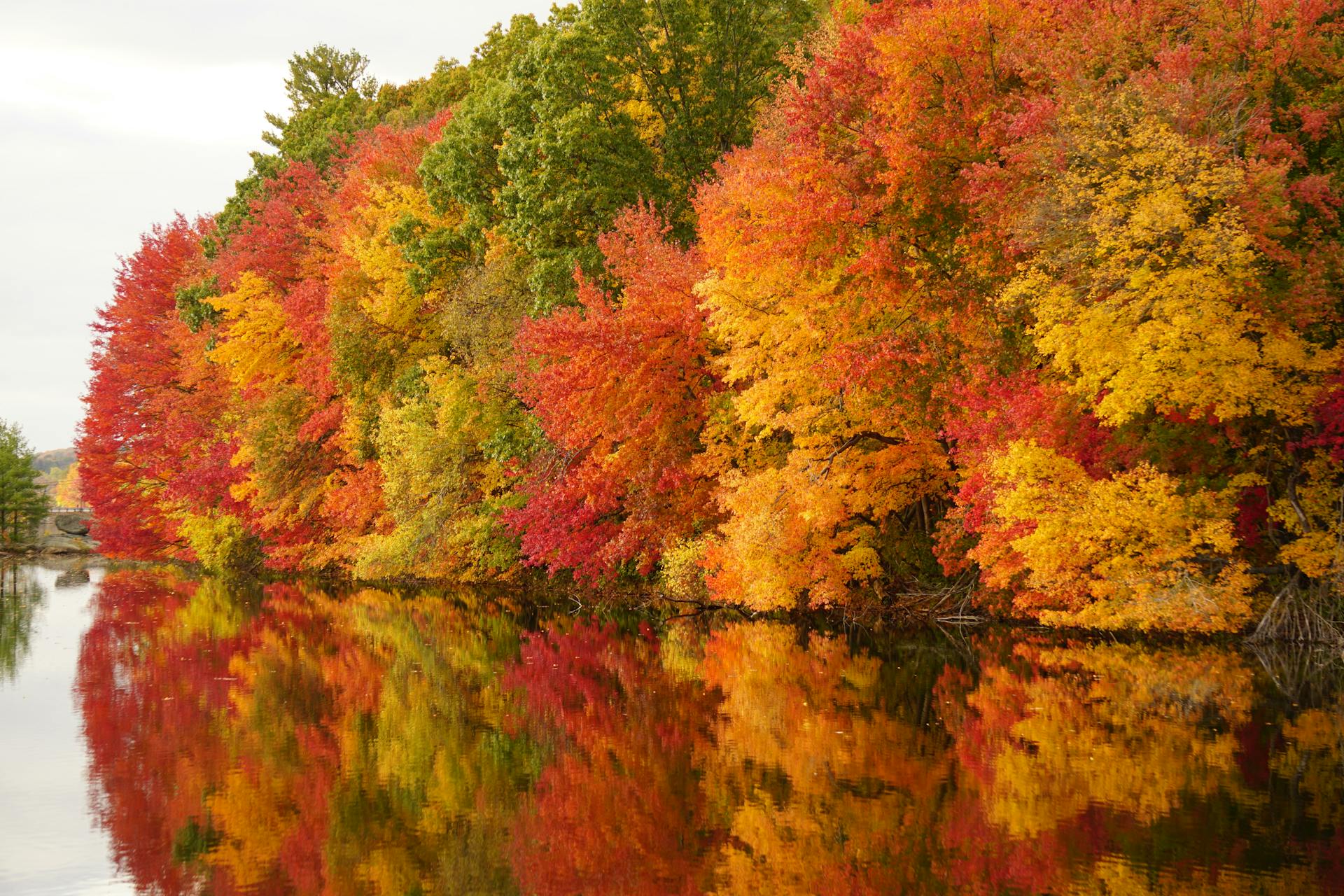 Changing Leaves, Changing Habits: How to Reset Your Productivity This Fall
