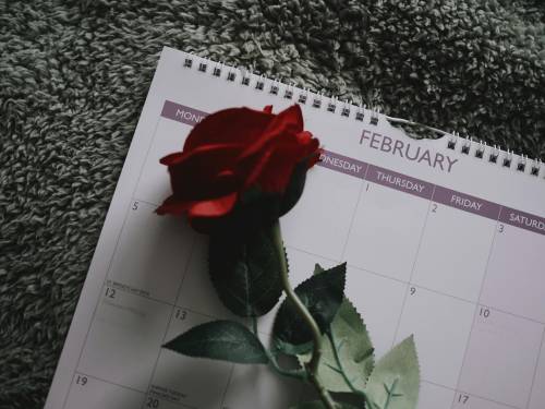 February 2026: A Month of Celebrations, From Passwords to Polar Bears